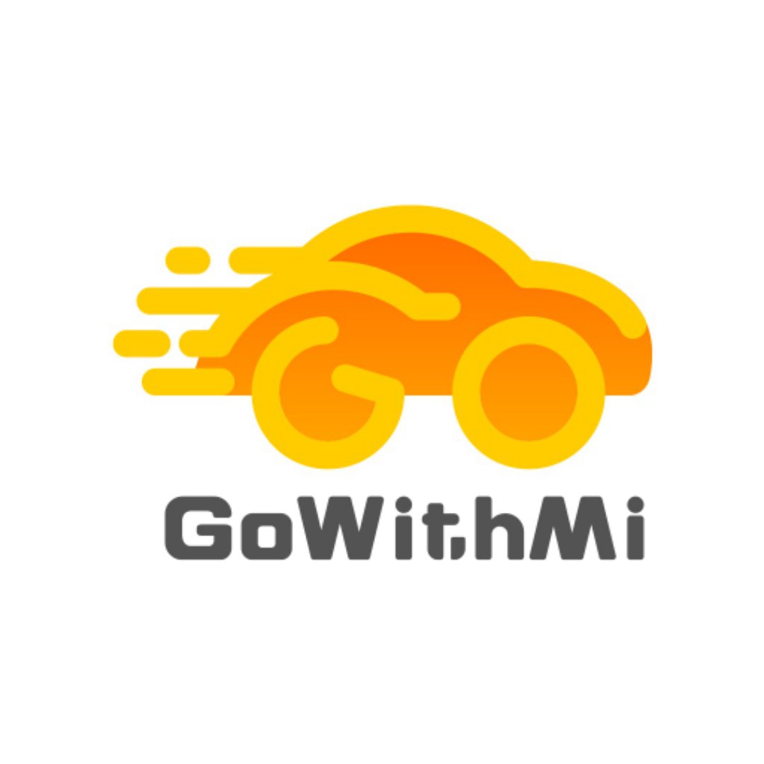 GoWithMi高维地球