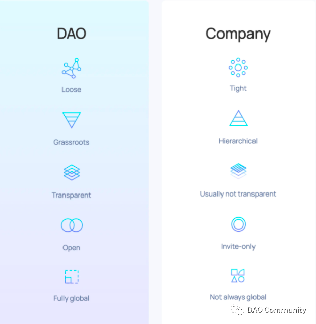 DAO
