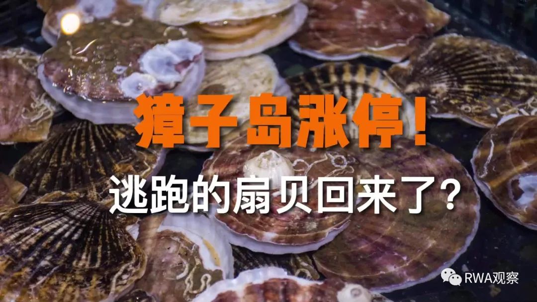 传统金融