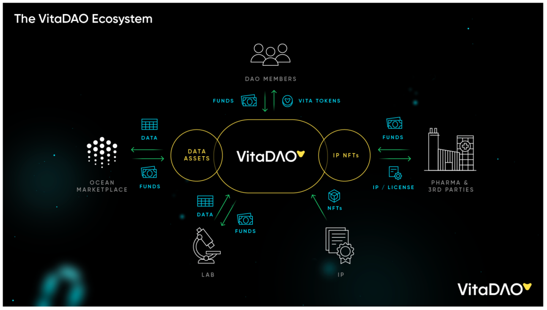 DAO