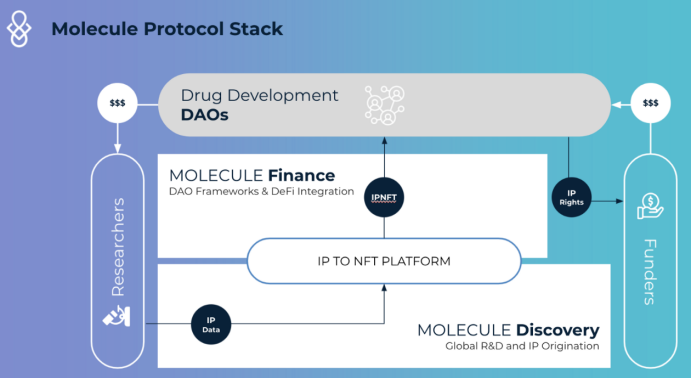 DAO