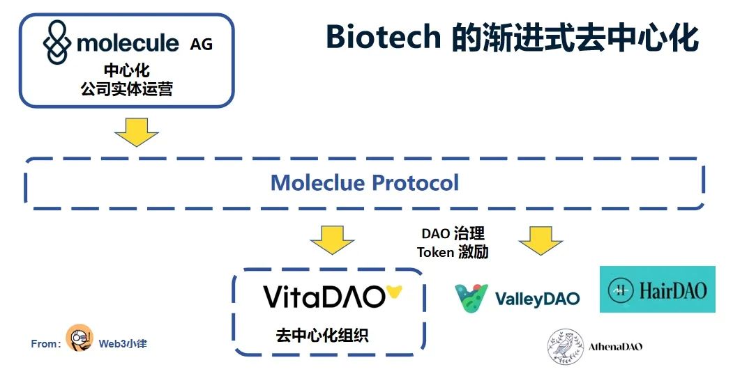 DAO