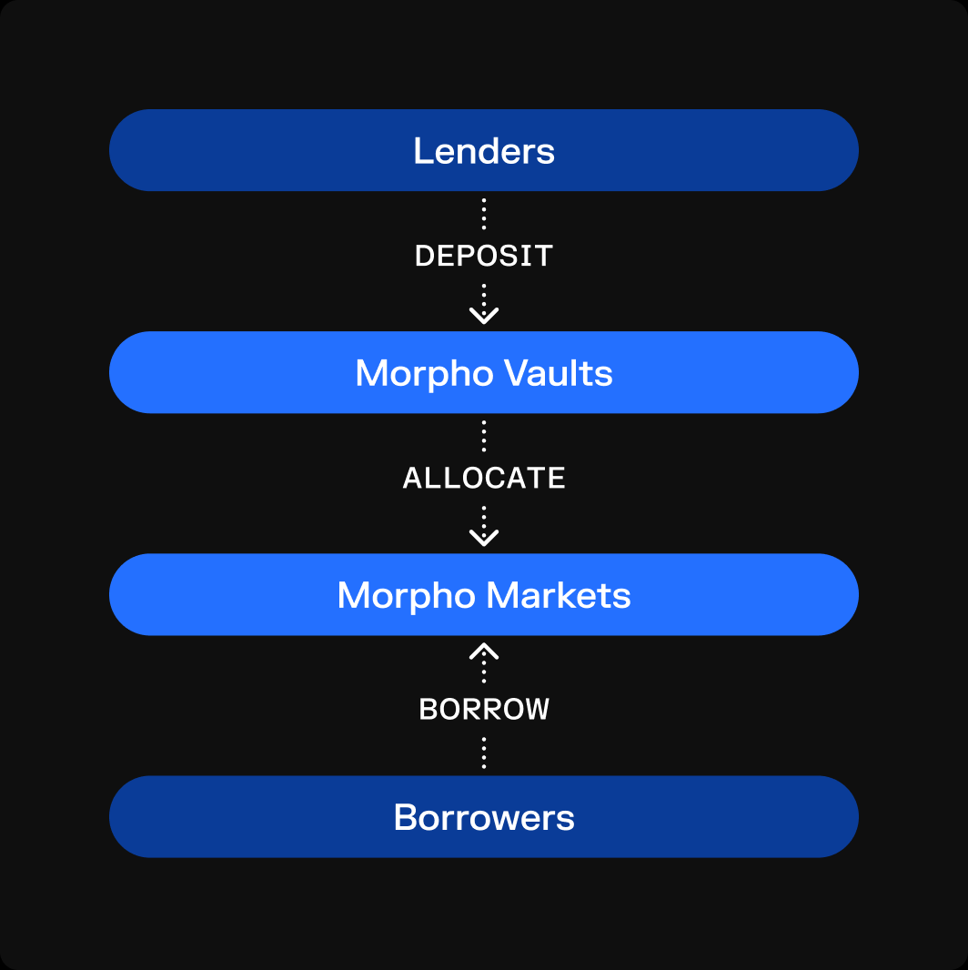 从借贷产品到基础设施:Morpho 的金融复兴蝶变之路