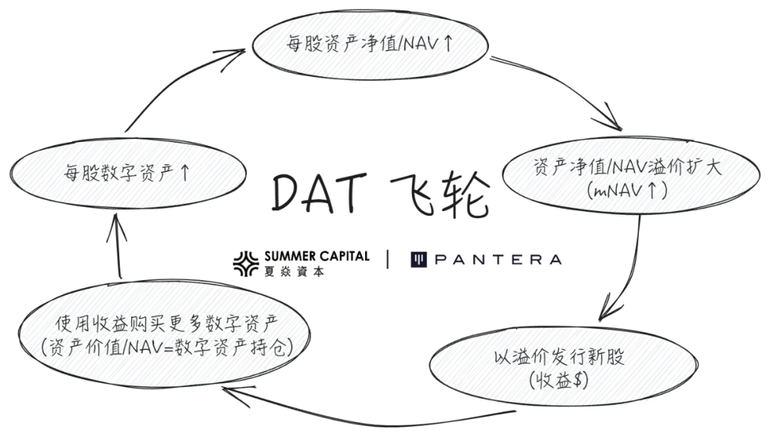 数字资产财库