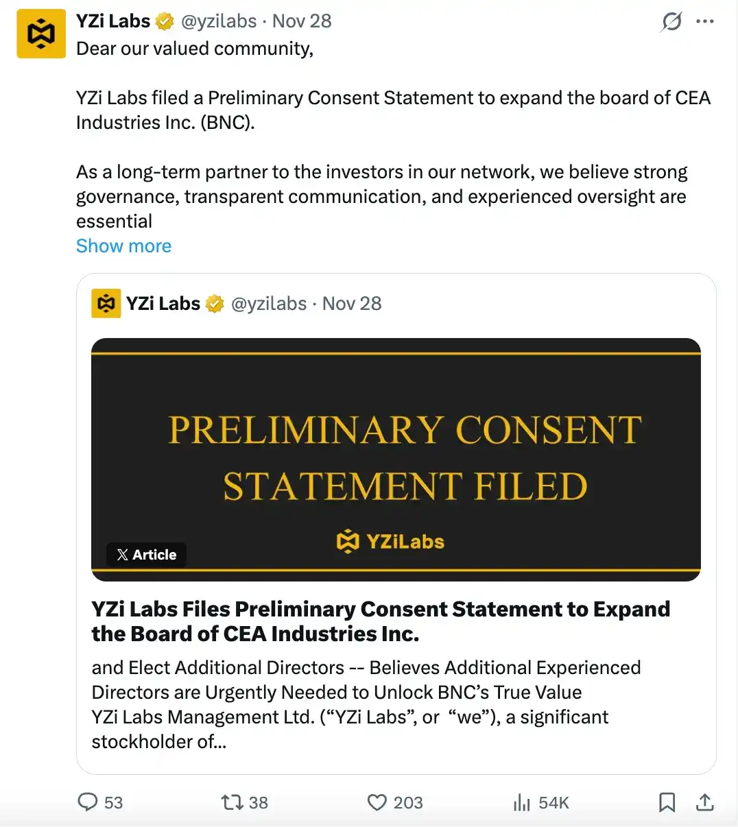 YZi Labs