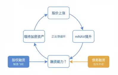 数字资产财库