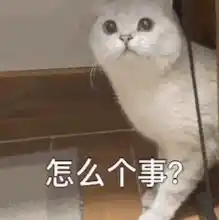 个人知识库