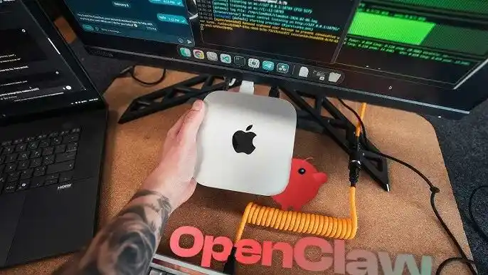 YOYO Claw