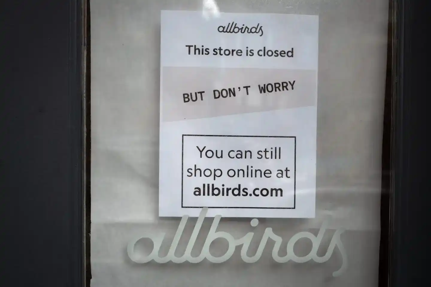 Allbirds