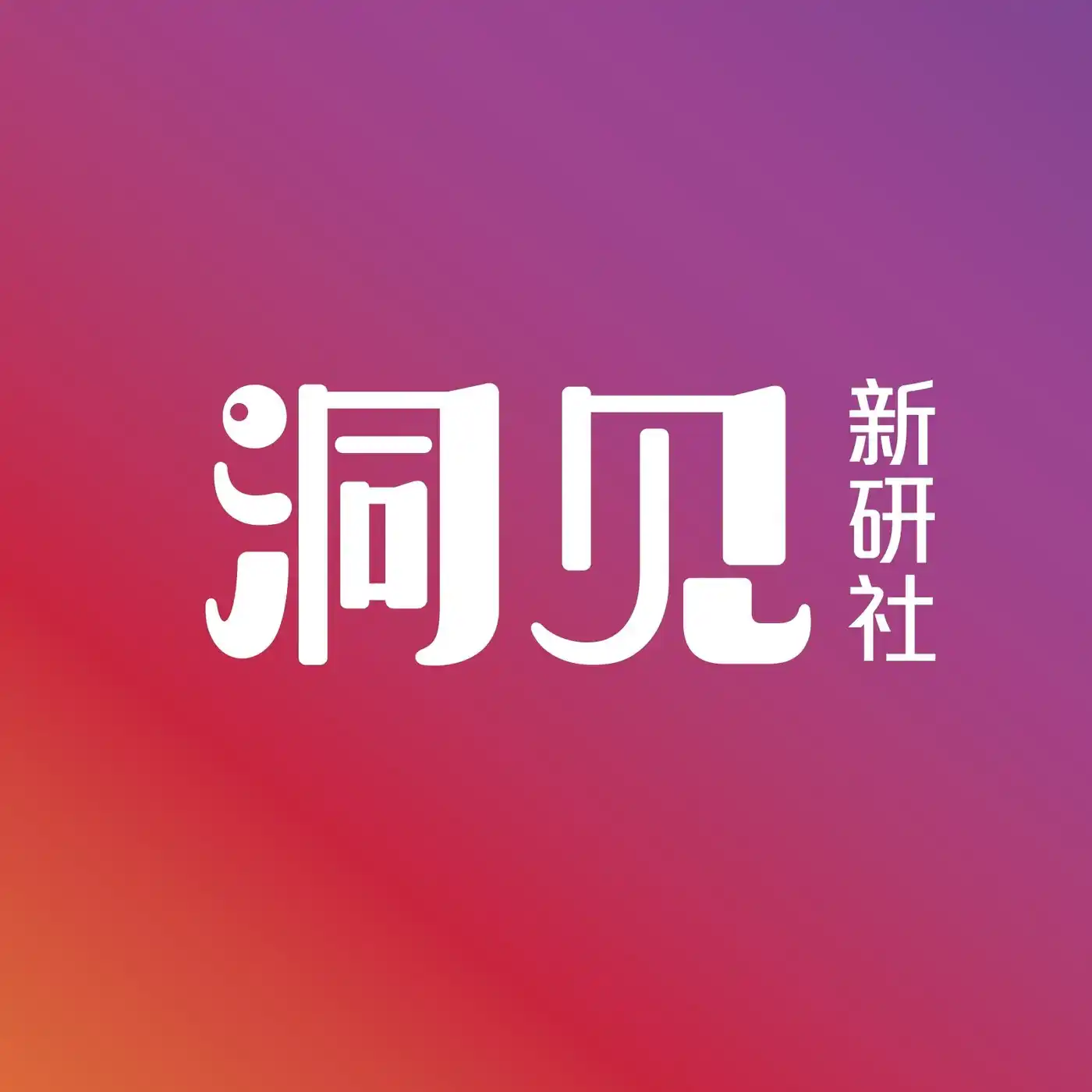 洞见新研社