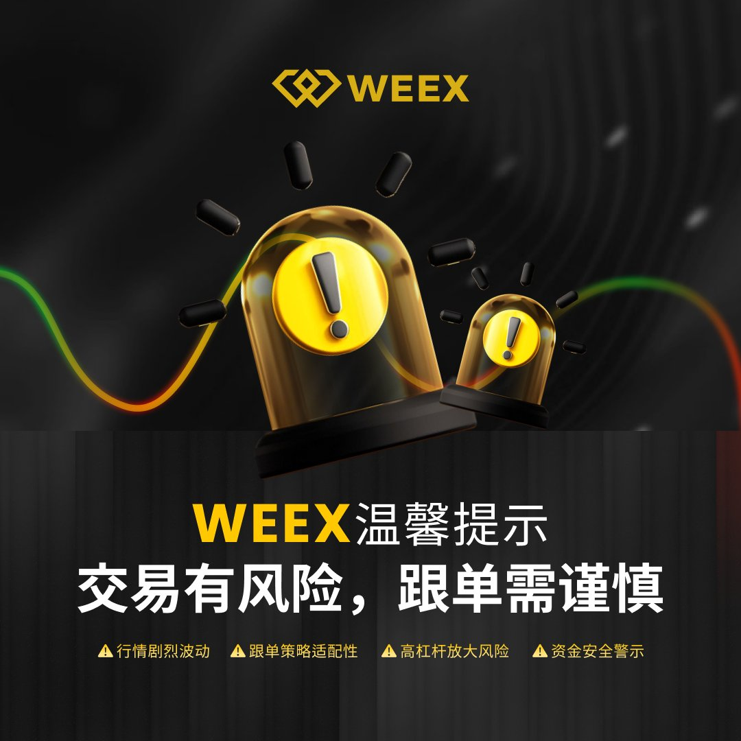 跟单交易、WEEX、风险控制