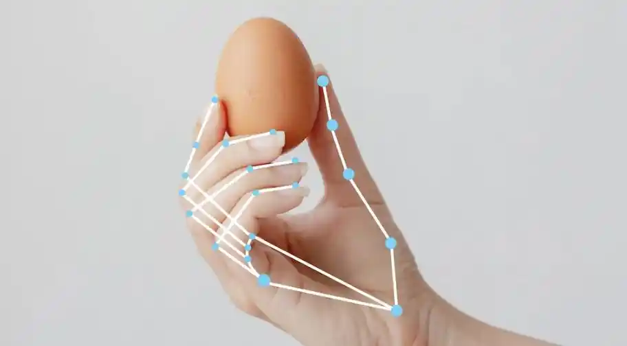 验证码