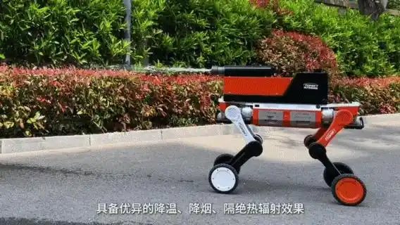 云深处