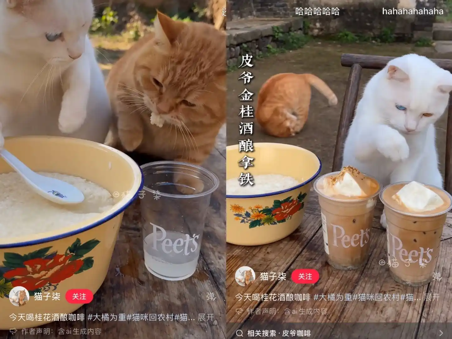 短剧