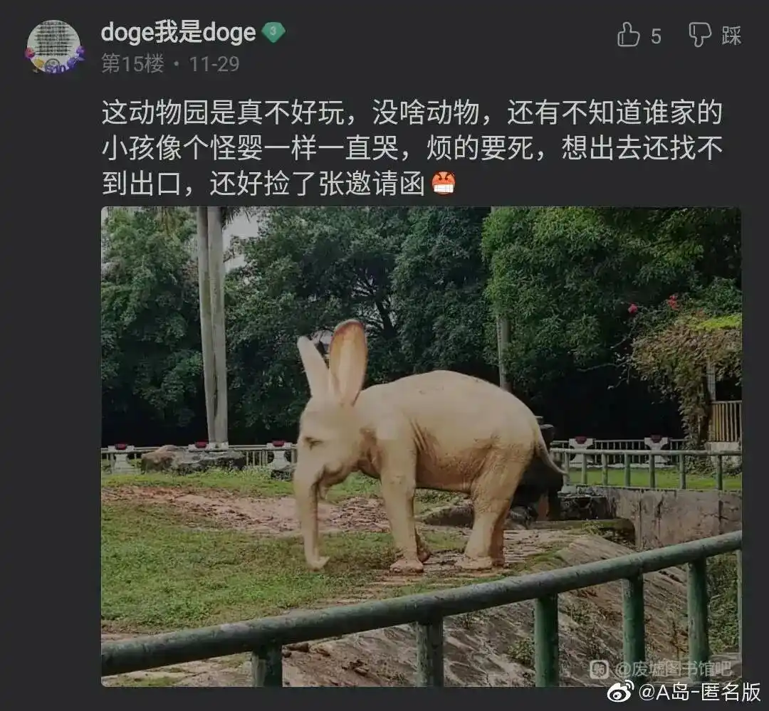 抖音