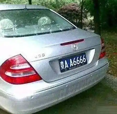 陶华碧