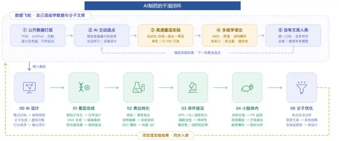 金斯瑞