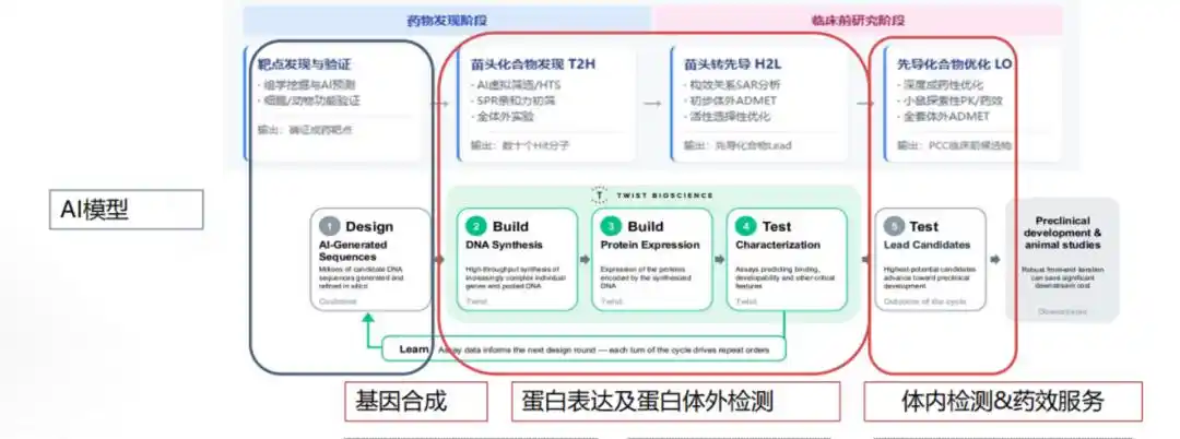 金斯瑞