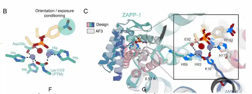RFdiffusion3