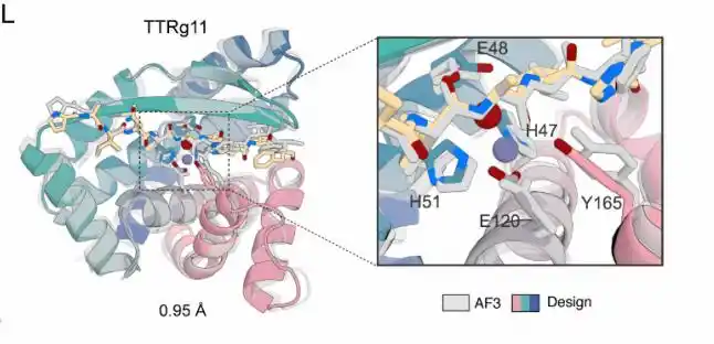 RFdiffusion3