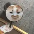 人脸授权