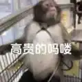 人脸授权
