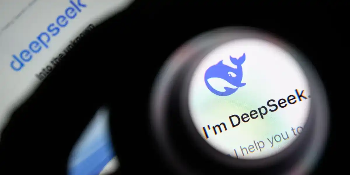 DeepSeek,大模型,搜索API