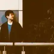 乔木