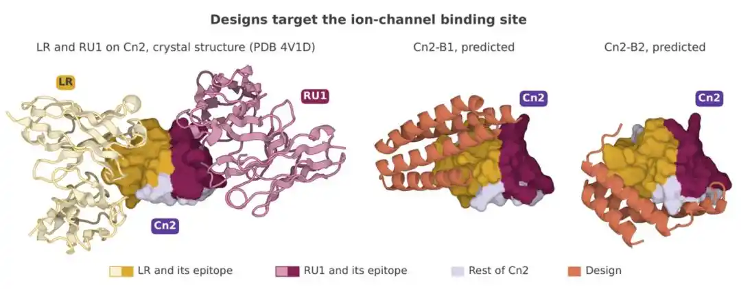 Anthropic says Claude generated 318,484 protein designs in 64 hours, with 17 validated in lab tests 7