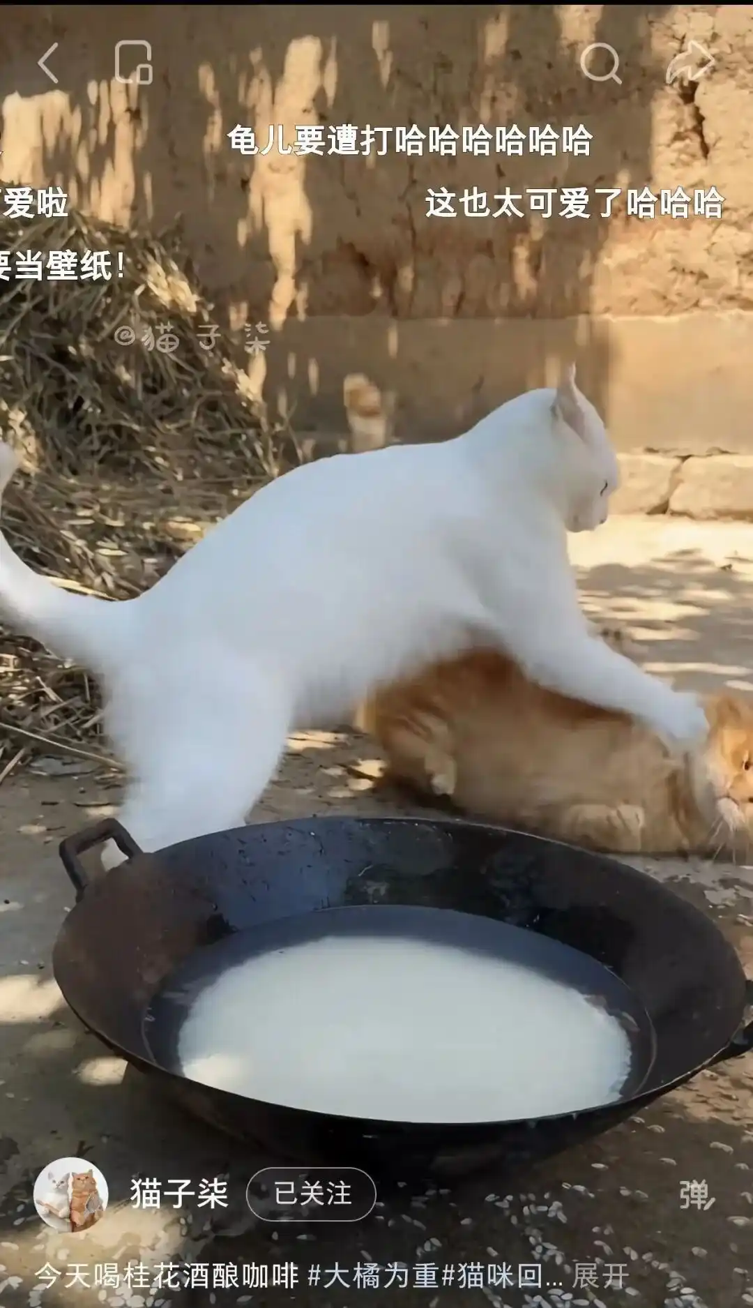 短视频