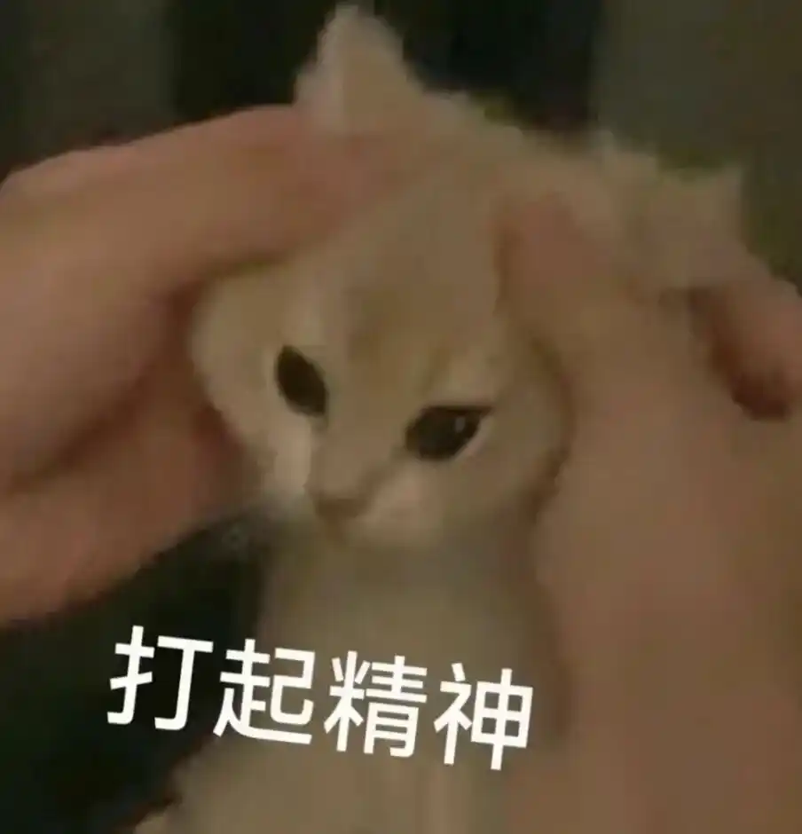 机器人