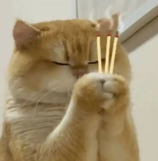 机器人