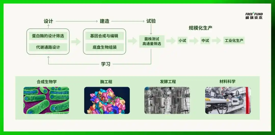 生物制造