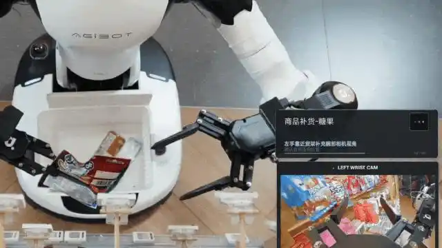 智元